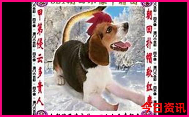 杭州室内旅游景点有哪些景点好玩
